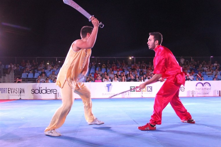 Martial Arts Festival